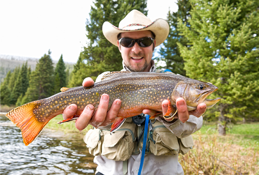 Brook Trout Caught in Ontario at Forrest Lodge