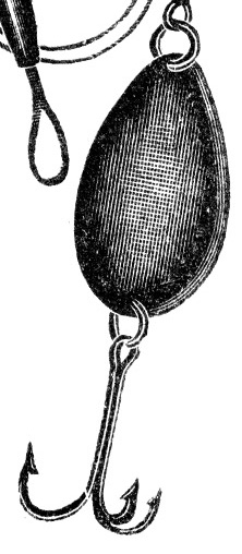 Graphic Fish left image