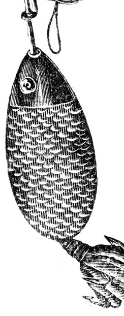 Graphic Fish right image